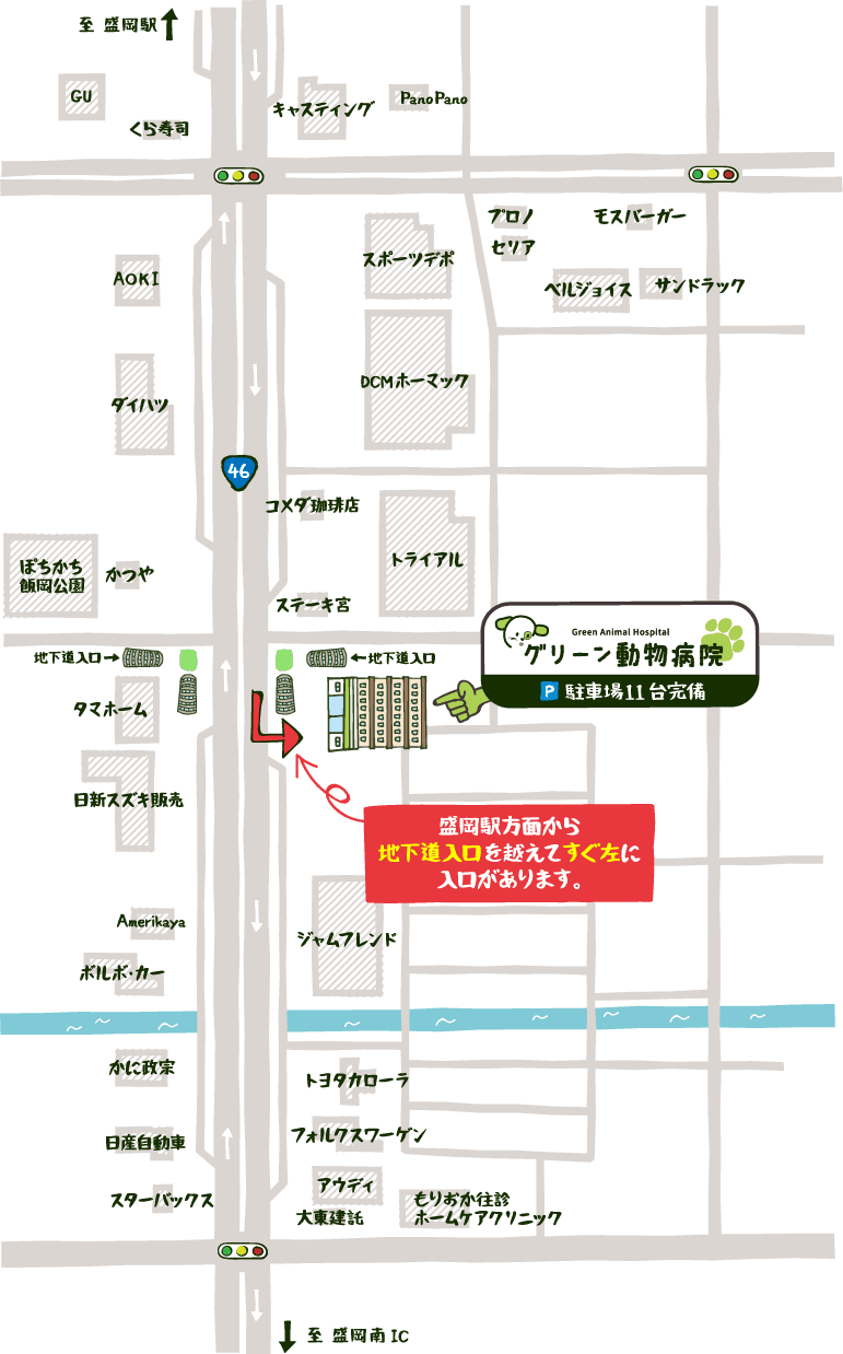 盛岡グリーン動物病院へのアクセスマップ 駐車場11台完備 盛岡駅方面から地下道入口を越えてすぐ左に入口があります。