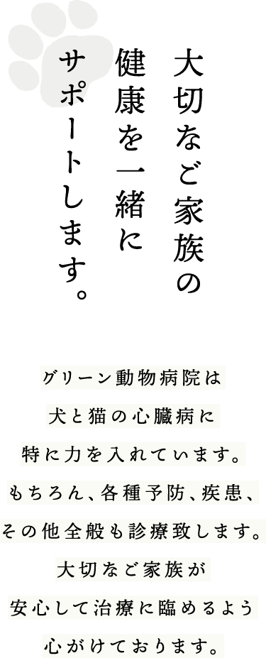 大切なご家族の健康を一緒にサポートします。 グリーン動物病院は犬と猫の心臓病に特に力を入れています。もちろん、各種予防、疾患、その他全般も診療致します。大切なご家族が安心して治療に臨めるよう心掛けております。